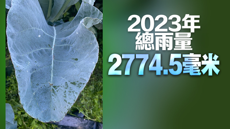 本港去年12月平均氣溫19.1度 整體較正常溫暖及少雨