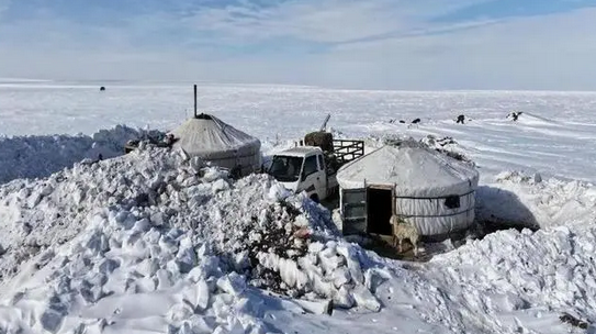 蒙古國(guó)遭受近50年不遇雪災(zāi) 