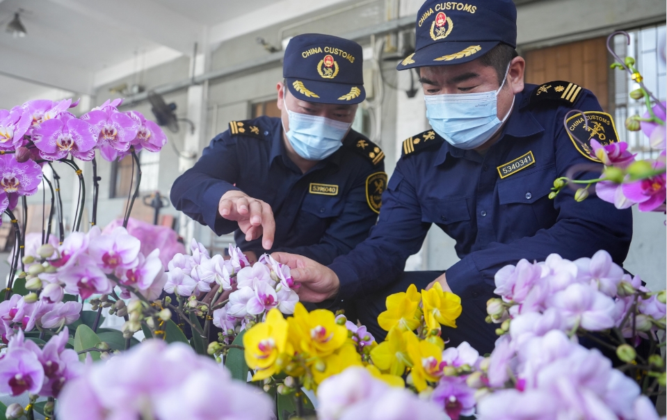 粵港澳就生物樣本跨境檢疫監管規則銜接等17合作項目進行探討