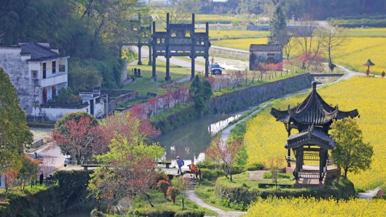 【康養(yǎng)中國】康養(yǎng)「藍海」引得澳門客商青睞   皖徽州區(qū)擦亮潛口康養(yǎng)小鎮(zhèn)品牌