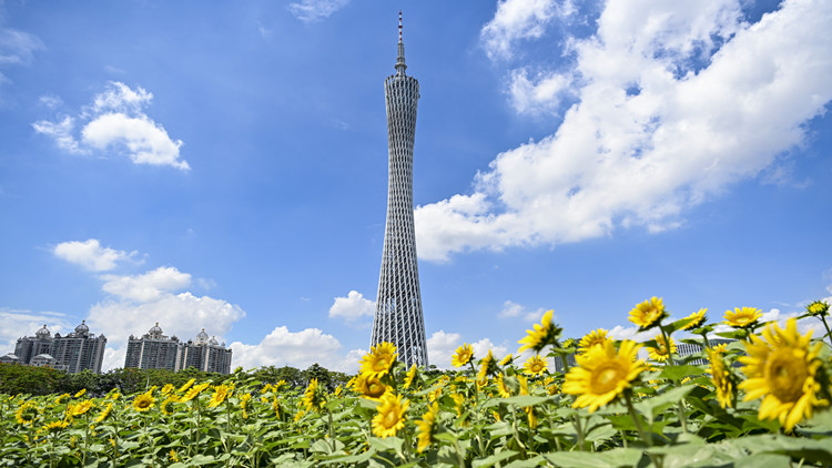 6·18大銷來臨 粵市場監管局、省消委會聯合提醒：消費者網購切勿繞過平臺私下交易