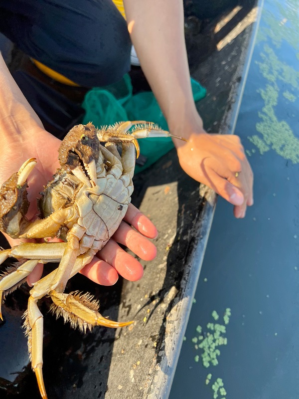 Crabtastic 太湖養殖場 05.jpg